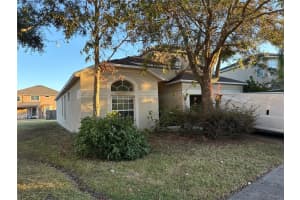 19034 NARIMORE DRIVE, LAND O LAKES, FL 34638 Sold 03/04/25