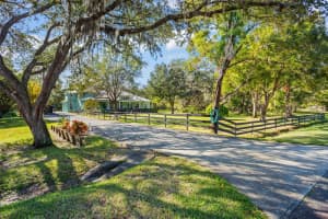 19430 SARMUNDHAM STREET, ORLANDO, FL 32833 Sold 03/10/25