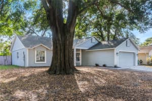 3004 BEAUMONT LANE, EUSTIS, FL 32726 Sold 03/06/25