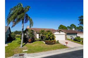 11224 VILLAS ON THE GREEN DRIVE, RIVERVIEW, FL 33579 Sold 04/01/25