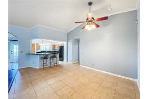 11224 VILLAS ON THE GREEN DRIVE, RIVERVIEW, FL 33579 Sold 04/01/25