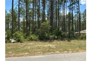 SW 81ST CIR, OCALA, FL 34473 - MLS#MFRO6264047
