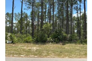 SW 81ST CIR, OCALA, FL 34473 - MLS#MFRO6264047