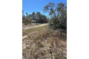 6327 HOBSON TERRACE, DUNNELLON, FL 34433 Sold 04/14/25