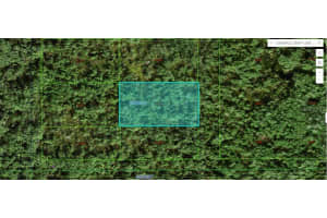 COMMONWEALTH AVE N, POLK CITY, FL 33868 - MLS#MFRO6264427