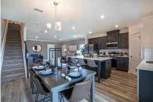 32100 EASTERN REDBUD BRANCH, SAN ANTONIO, FL 33576 Sold 06/12/25