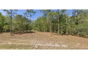 9654 DEARING LOOP, CITRUS SPRINGS, FL 34434 Sold 03/27/25