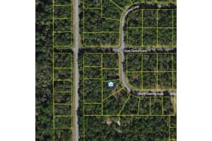 9654 DEARING LOOP, CITRUS SPRINGS, FL 34434 Sold 03/27/25