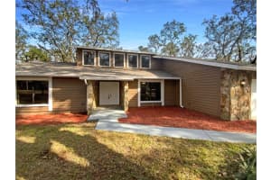 18111 LIVINGSTON AVENUE, LUTZ, FL 33559 Sold 02/25/25