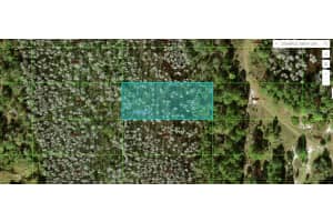 OLD GRADE RD, POLK CITY, FL 33868 - MLS#MFRO6265122