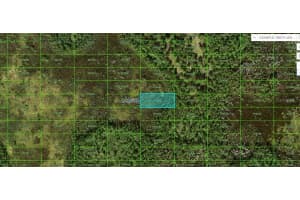 OLD GRADE RD, POLK CITY, FL 33868 - MLS#MFRO6265128