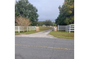 24217 ADAIR AVENUE, SORRENTO, FL 32776 Sold 05/30/25