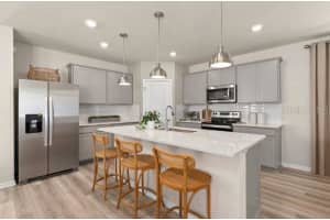 1989 BRANCHED OAK ROAD, SAINT CLOUD, FL 34771 Sold 04/15/25