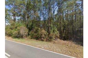 ROYAL TRAILS RD, EUSTIS, FL 32736 - MLS#MFRO6265585