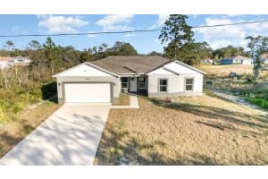 1609 Pickerel Ct, KISSIMMEE