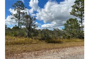 1126 ERWIN STREET, LAKE PLACID, FL 33852 Sold 04/04/25