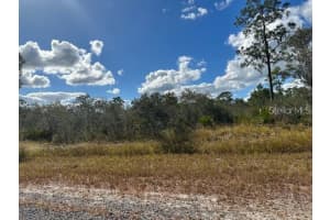 1126 ERWIN STREET, LAKE PLACID, FL 33852 Sold 04/04/25