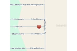 00 SKYLARK LANE, DUNNELLON, FL 34432 - MLS#MFRO6265880