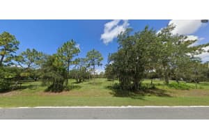 TIGER LAKE RD, LAKE WALES, FL 33898 - MLS#MFRO6266194