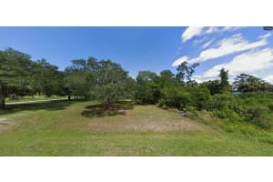 TIGER LAKE RD, LAKE WALES, FL 33898 - MLS#MFRO6266198
