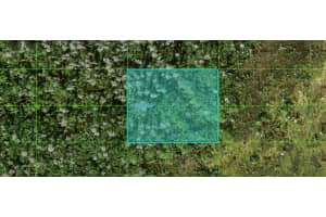 OLD GRADE RD, POLK CITY, FL 33868 - MLS#MFRO6266208