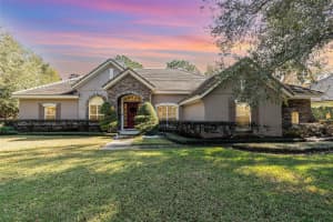25628 HAWKS RUN LANE, SORRENTO, FL 32776 - MLS#MFRO6266214