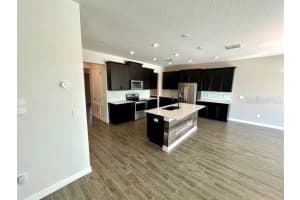10330 LOVEGRASS LANE, ORLANDO, FL 32832 Sold 03/14/25