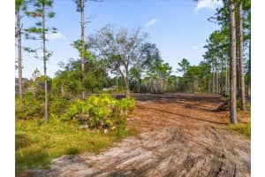810 SHELDON STREET, ORLANDO, FL 32833 Sold 02/05/25