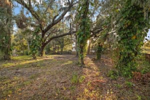 XXX GREENWOOD STREET, GROVELAND, FL 34736 - MLS#MFRO6266532