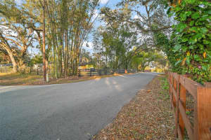 XXX GREENWOOD STREET, GROVELAND, FL 34736 - MLS#MFRO6266532