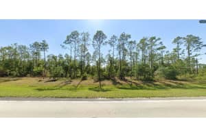 RIVER RANCH BLVD, LAKE WALES, FL 33898 - MLS#MFRO6266577