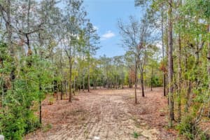 1716 BISMARK STREET, HERNANDO, FL 34442 - MLS#MFRO6266594