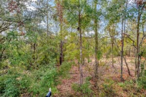 1716 BISMARK STREET, HERNANDO, FL 34442 - MLS#MFRO6266594