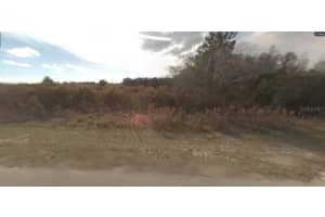 BACKLAND PATH RD, POLK CITY, FL 33868 - MLS#MFRO6266730
