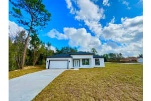 8201 EMPIRE AVENUE, CITRUS SPRINGS, FL 34433 Sold 06/30/25