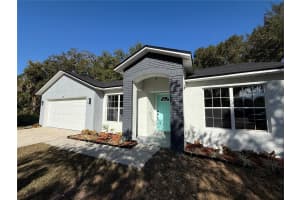 911 PINE AVENUE, MOUNT DORA, FL 32757 Sold 06/16/25