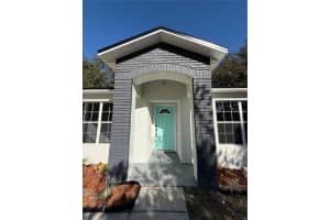 911 PINE AVENUE, MOUNT DORA, FL 32757 Sold 06/16/25