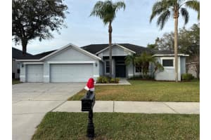 2524 CENTENNIAL FALCON DRIVE, VALRICO, FL 33596 Sold 03/20/25