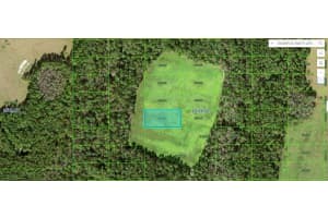 DUUBLE DIAMOND DR, POLK CITY, FL 33868 - MLS#MFRO6266949