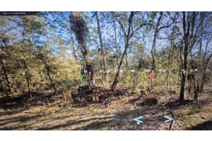 3216 GLEN SPRINGS AVENUE, LAKE PLACID, FL 33852 Sold 01/17/25