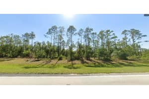 RIVER RANCH BLVD, LAKE WALES, FL 33898 - MLS#MFRO6267150