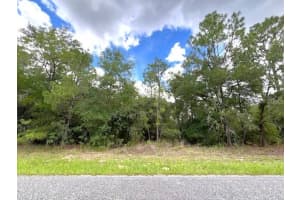 245 RUSKA PLACE, CITRUS SPRINGS, FL 34434 Sold 11/14/25