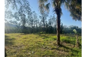 4820 TREASURE DRIVE, NEW PORT RICHEY, FL 34652 - MLS#MFRO6267599