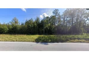 OLD GRADE RD, POLK CITY, FL 33868 - MLS#MFRO6267605