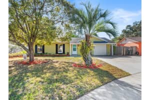 323 MEADOW SWEET COURT, OCOEE, FL 34761 Sold 02/24/25