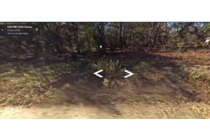 SW 157 TERRAC, OCALA, FL 34481 Sold 01/29/25