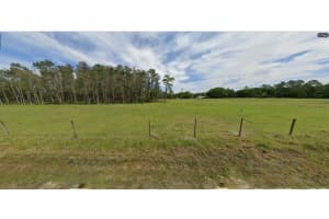 GREEN POND RD, POLK CITY, FL 33868 - MLS#MFRO6267729