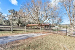 8125 145TH STREET, REDDICK, FL 32686 Sold 07/22/25