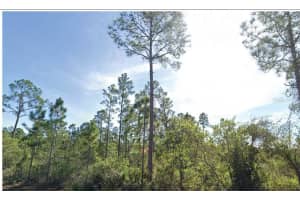 0 CALLIANDRA DRIVE, INDIAN LAKE ESTATES, FL 33855 Sold 02/27/25
