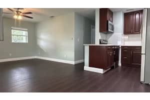 3017 TOURAINE AVENUE, ORLANDO, FL 32812 Sold 02/07/25